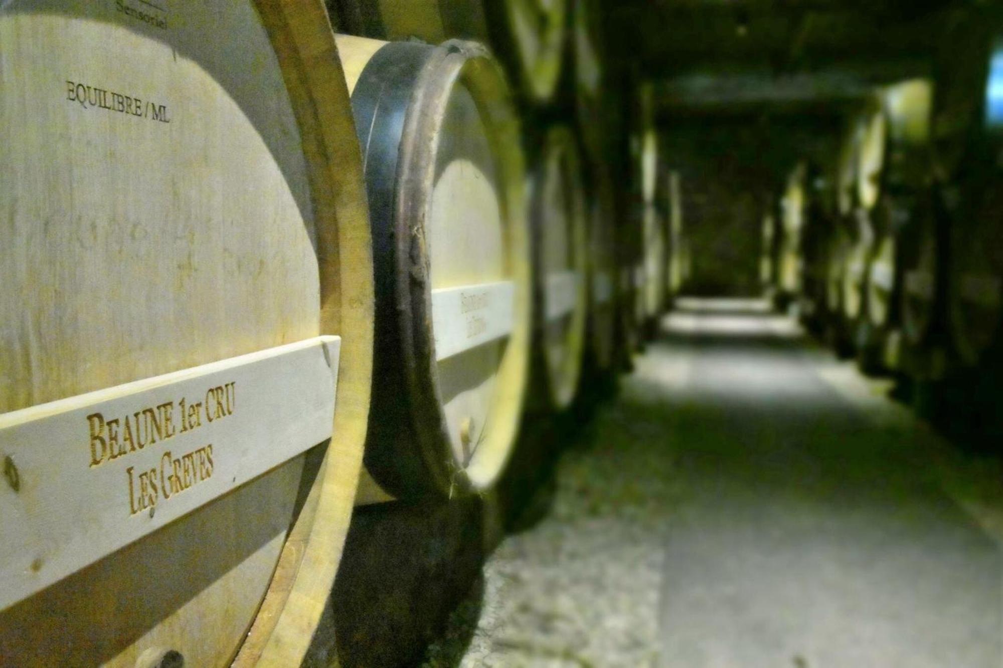 Les Chambres Du Foulot Beaune  Eksteriør bilde